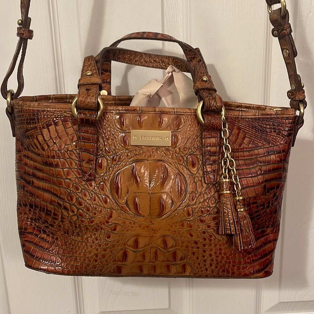 Mini Asher Brahmin